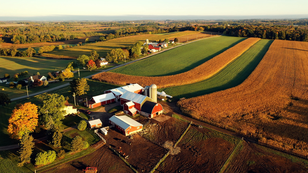 Aerial view of farm with fields