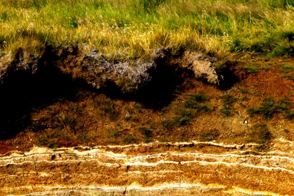 View of layers of soil within a hill that has been dug away representing the importance of understanding soil basics
