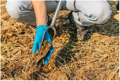 A soil scientist collects a soil sample from a field to emphasize the importance of soil sampling for agriculture.
