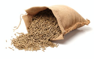 Cattle and horse feed